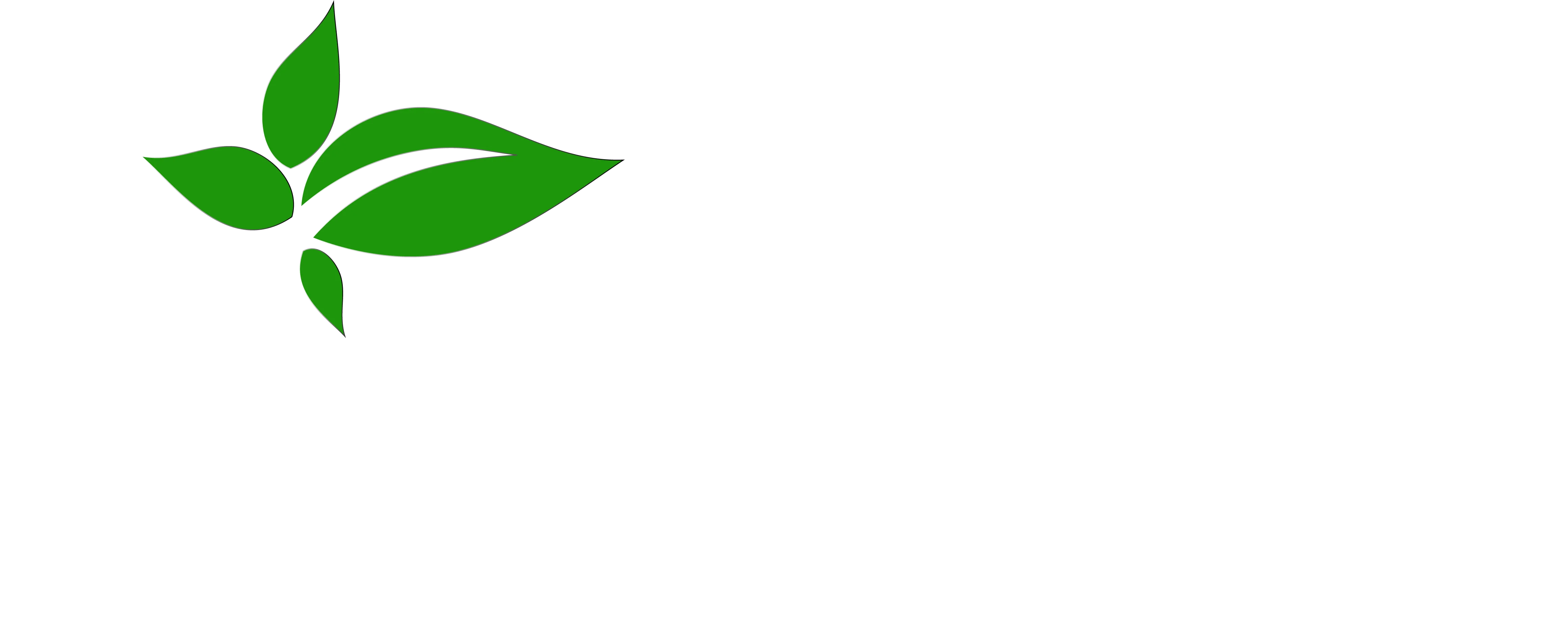 huniland service White