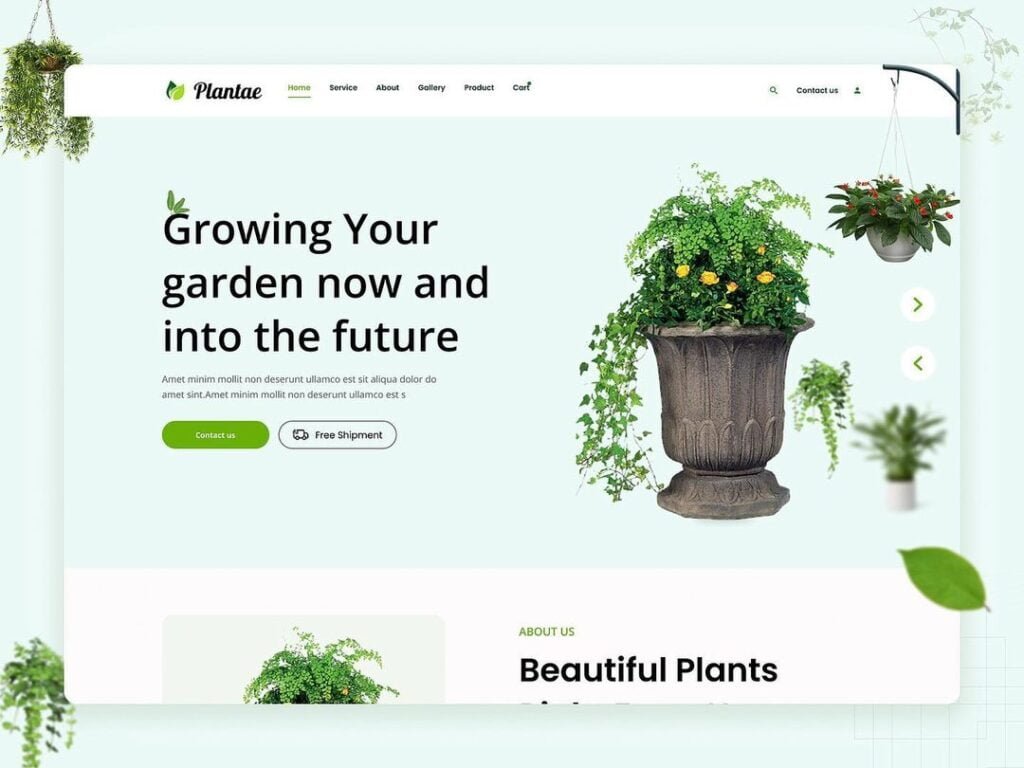 webdesign_786_384333830_1354334368805257_5069870232477132931_n