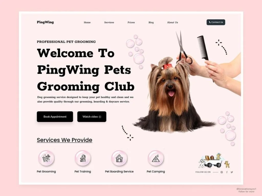 webdesign_786_385848070_859749785794106_5882858770024969405_n