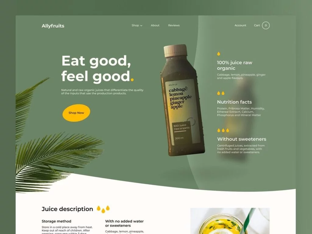 webdesign_786_399115711_1709361836239304_8102424600145407014_n