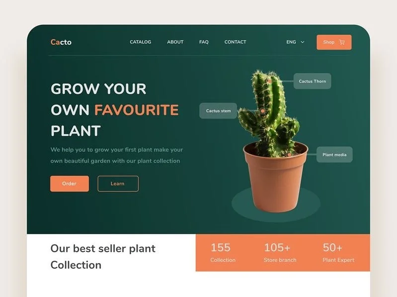 webdesign_786_403323729_842784330917024_890965734063145278_n