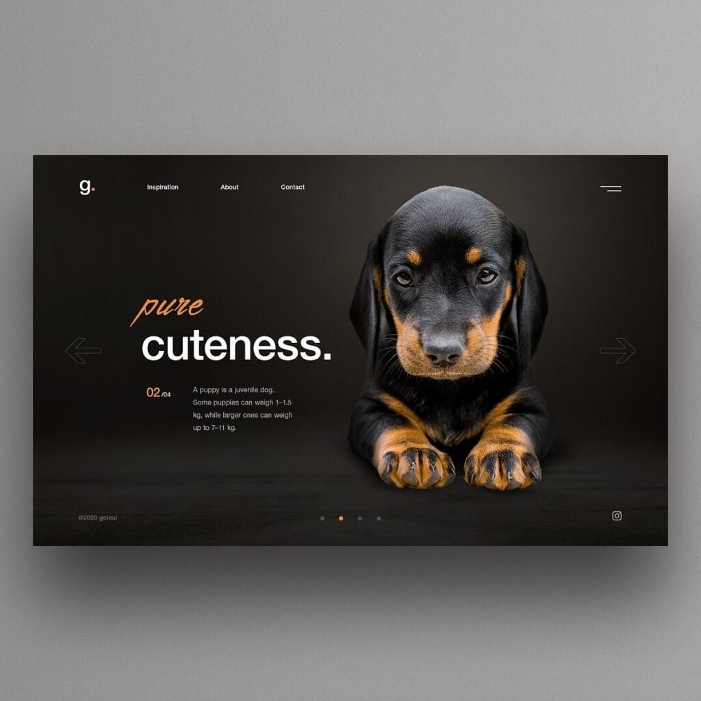 webdesign_786_403800964_1760704177725587_8510536751679956088_n