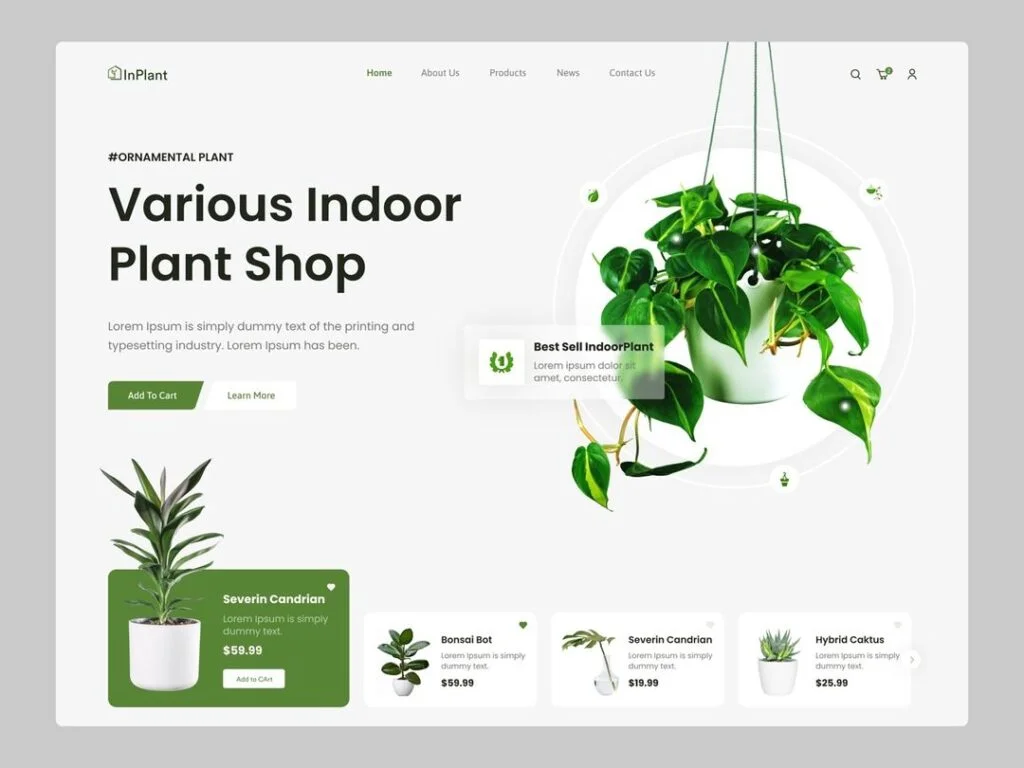 webdesign_786_404574403_703142378187011_5998834311202473415_n