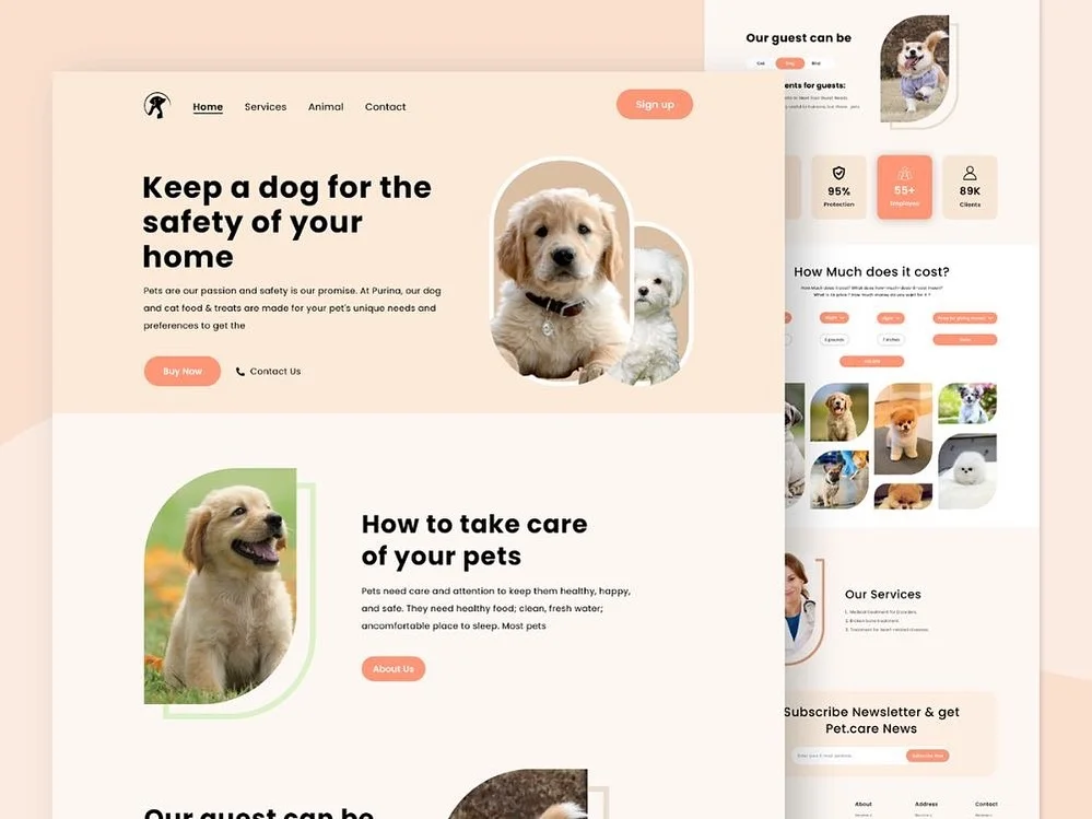 webdesign_786_412052713_685953113722153_6798550920656372144_n