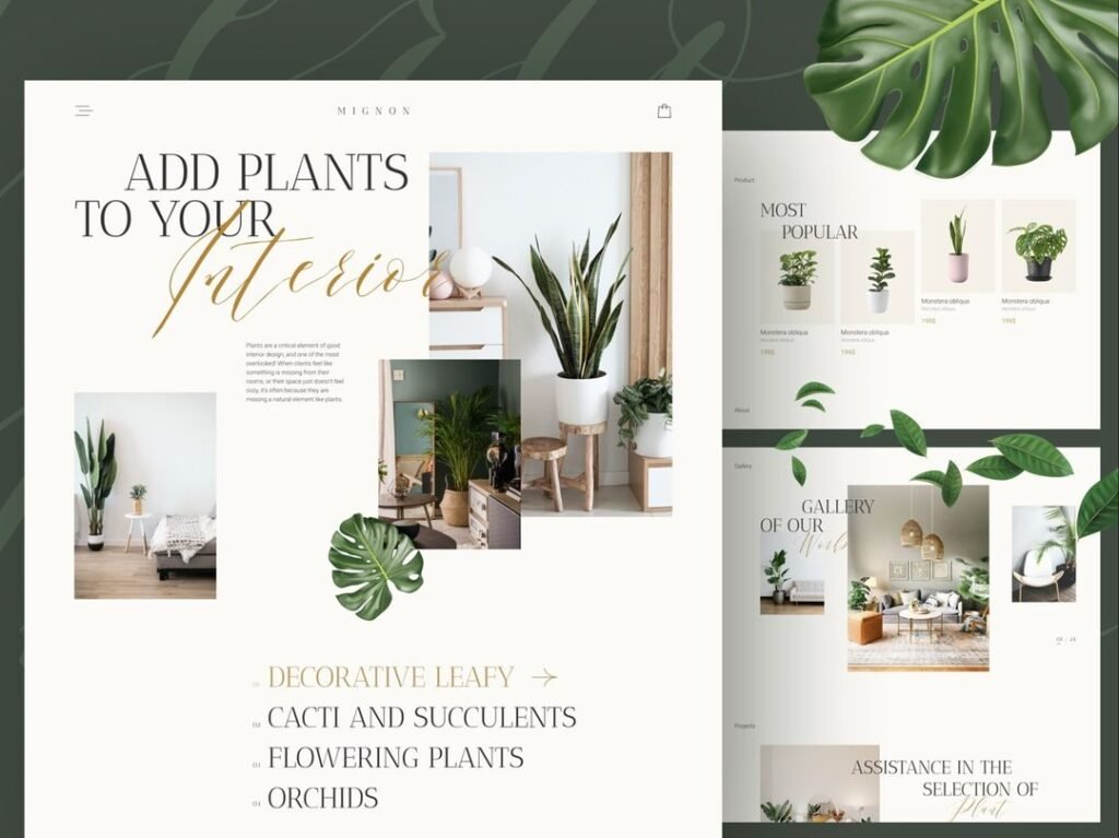 webdesign_786_412170135_24488818464097541_4583298772833162526_n