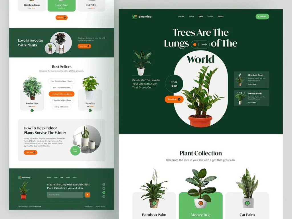 webdesign_786_413289902_780302787239810_4026619900728656069_n