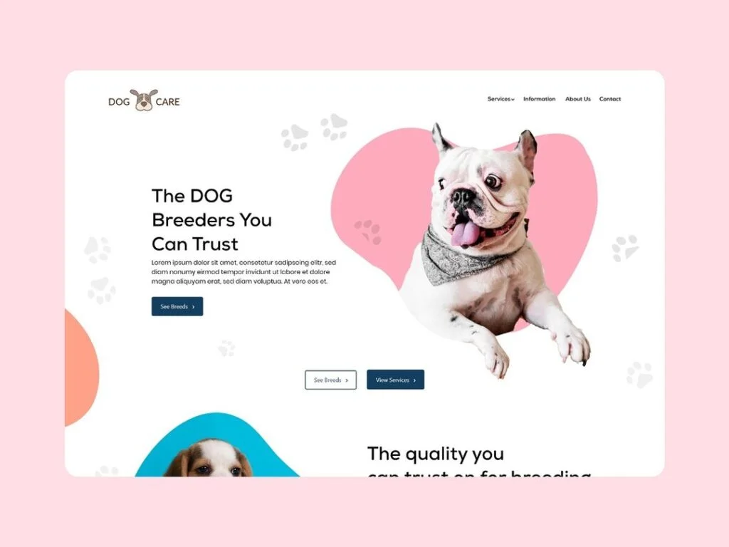 webdesign_786_418402865_388501223639649_2657268349462760905_n