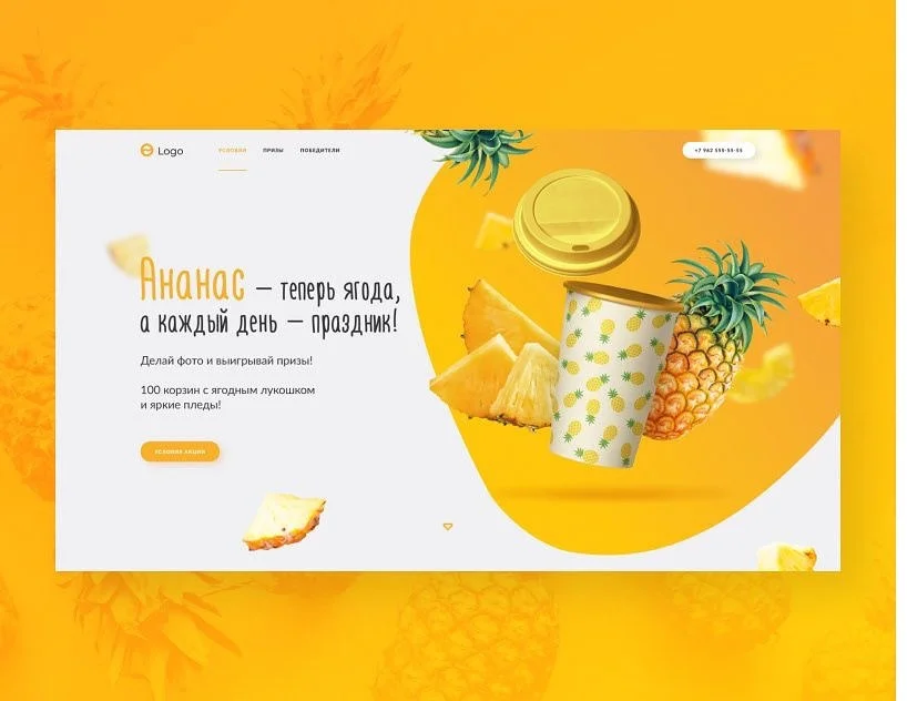 webdesign_786_419756759_381309171154684_6595564424604699855_n