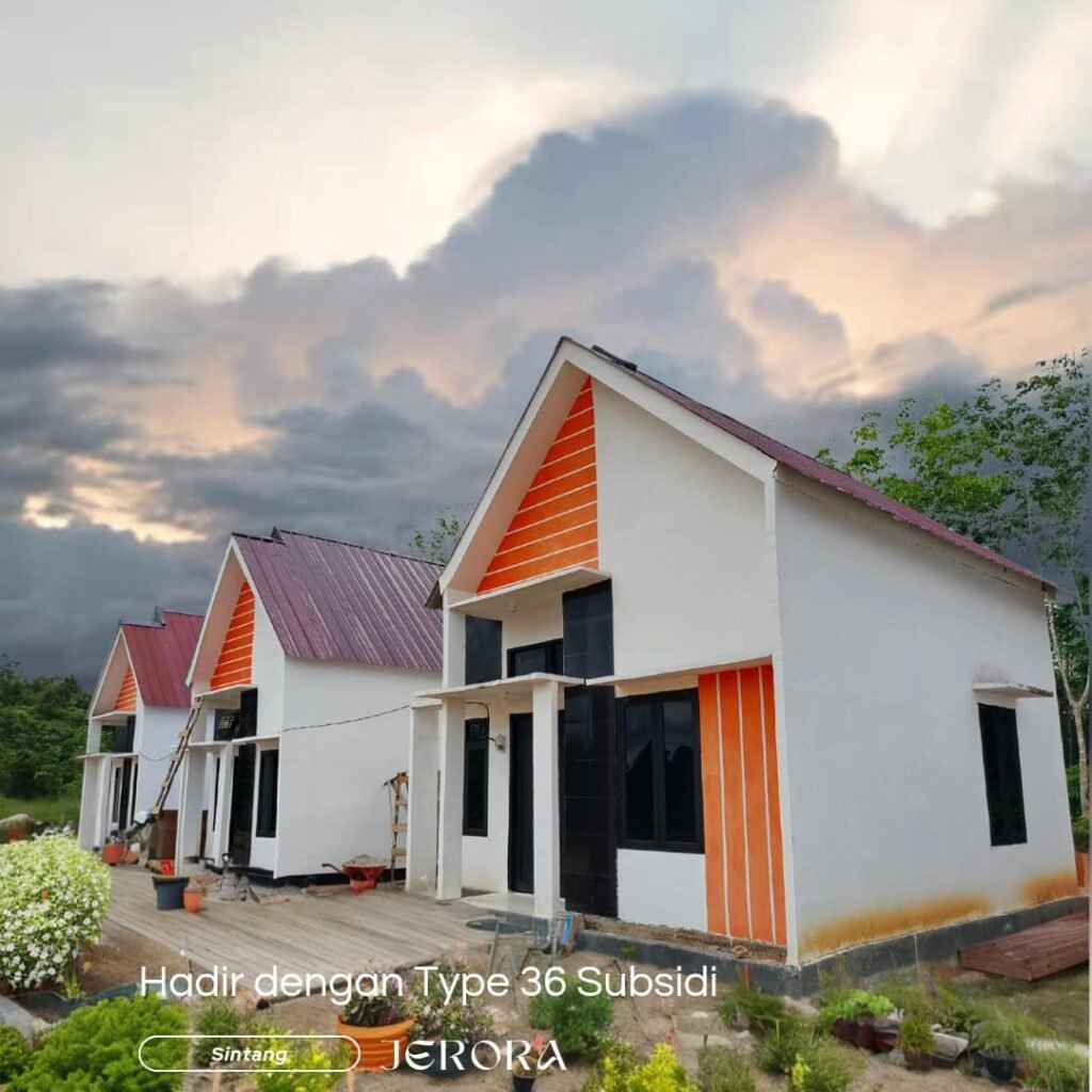 photo_2025-03-12_14-07-20 (2)